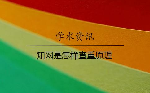 學術(shù)是怎樣查重原理