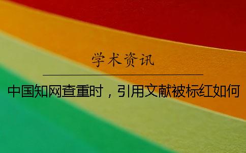 中國學術查重時，引用文獻被標紅如何是好？