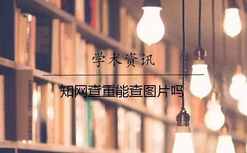 學術查重能查圖片嗎